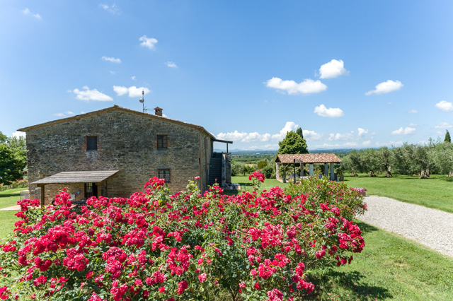 Photogallery – La Sosta di Annibale: farmhouse with swimming pool between Cortona and Lake Trasimeno